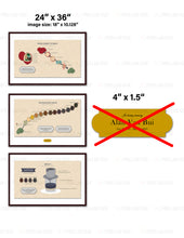 Load image into Gallery viewer, Custom for Nancy, 3 Watercolor Paper Printings & 3 Floating Espresso Frames, 32"x18", 36"x24"