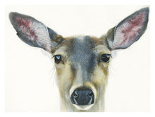 Load image into Gallery viewer, Custom for Graham Hamilton, Watercolor Paper Print, 11" x 14.58"