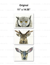 Load image into Gallery viewer, Custom for Graham Hamilton, Watercolor Paper Print, 11" x 14.58"