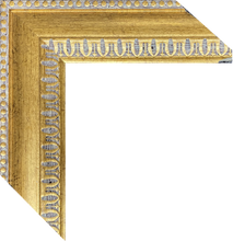Load image into Gallery viewer, Custom for Philip, 1 Luster Paper Printing w/ Gold Frames, 16x24