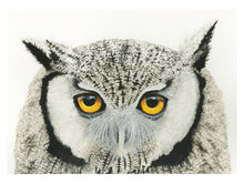 Load image into Gallery viewer, Custom for Graham Hamilton, Watercolor Paper Print, 11" x 14.58"