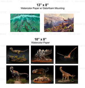 Custom for Facets Dinosaurs, 6 Watercolor Paper Prints & 2 Watercolor paper w/Gatorfoam, 13x8(2), 10x8(6)