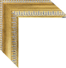 Load image into Gallery viewer, Custom for Philip, 1 Luster Paper Printing w/ Gold Frames, 16x24
