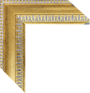 Custom for Philip, 1 Luster Paper Printing w/ Gold Frames, 16x24