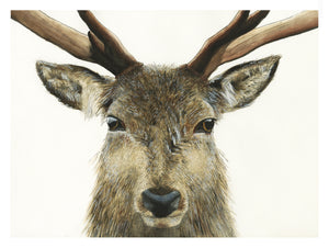 Custom for Graham Hamilton, Watercolor Paper Print, 11" x 14.58"